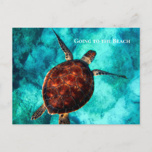 Anpassningsbar Text Larme Sea Turtle Tropical Blue Vykort