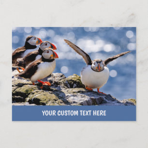 Anpassningsbar-text Puffin-vykort Vykort