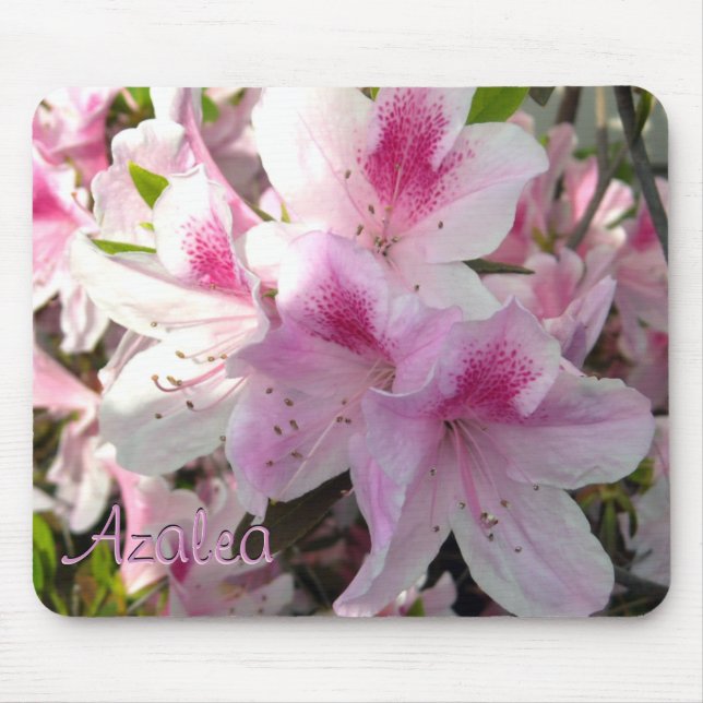 Anpassningsbar Text Shock rosa Azalea Flower Photo Musmatta (Framsidan)