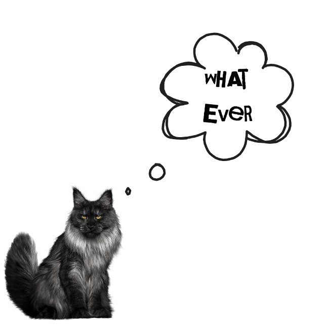 ANPASSNINGSBAR TEXT - Spelar ingen roll pojkar - K T Shirt (Skapare uppladdad)