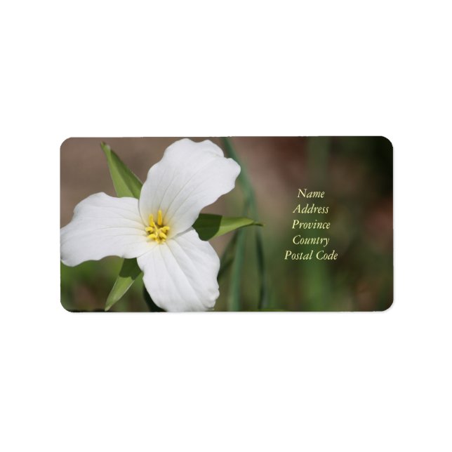 Anpassningsbar Trillium-etikett Adressetikett (Framsidan)