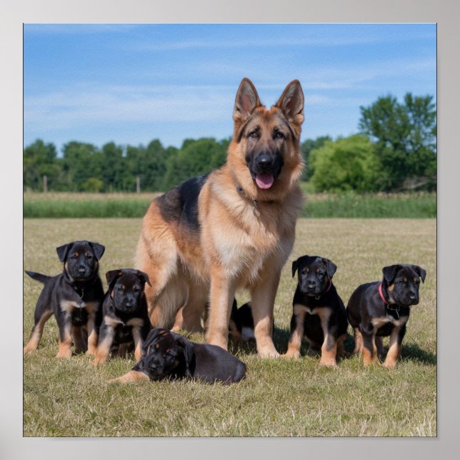 Anpassningsbar tysk schäferhund med söta valpar poster (Framsidan)