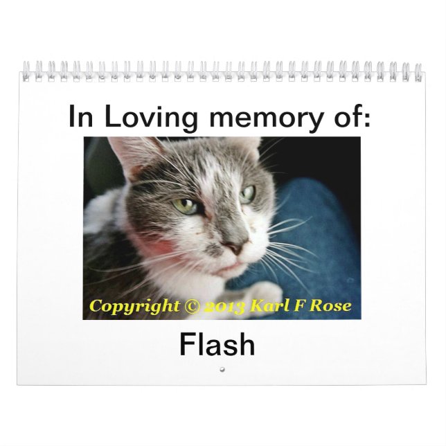 Anpassningsbar utskrivaven kattkalender kalender (Omslag)