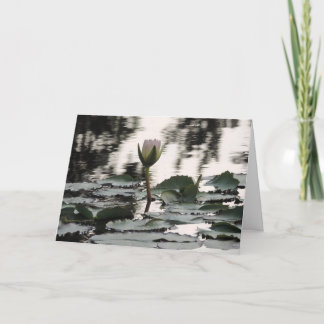 Anpassningsbar Välkomstkort: Vattenlilja Fotografi Tack Kort