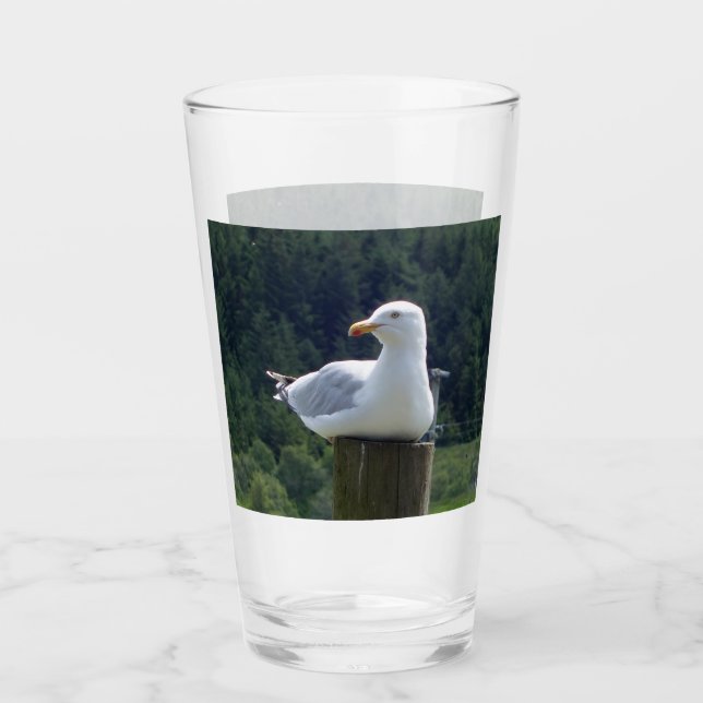 Anpassningsbar Vilande Måsfågel Hav Natur Fågel Glaskopp (Framsida)