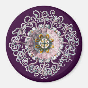 Anpassningsbar Vintage Haeckel Magnet