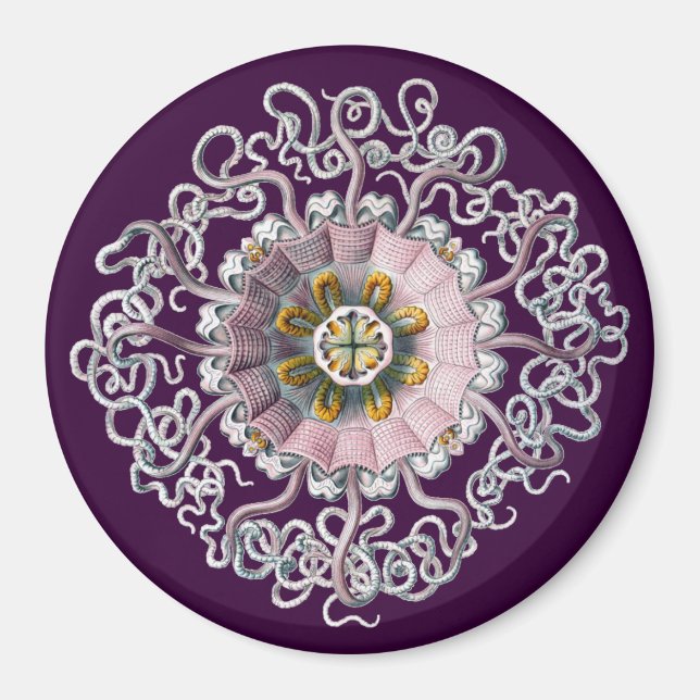 Anpassningsbar Vintage Haeckel Magnet (Framsidan)