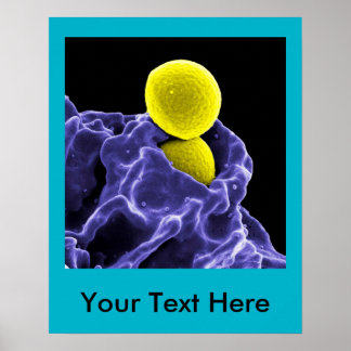 anpassningsbarna abstrakt microbiology art poster