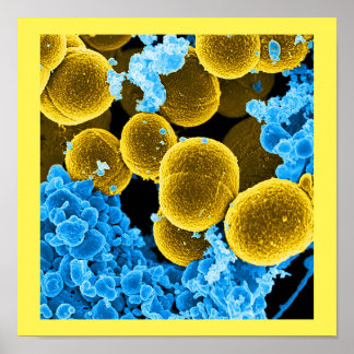 anpassningsbarna abstrakt microbiology art poster