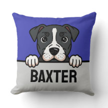 Anpassningsbarna Amstaff i Hund i USA