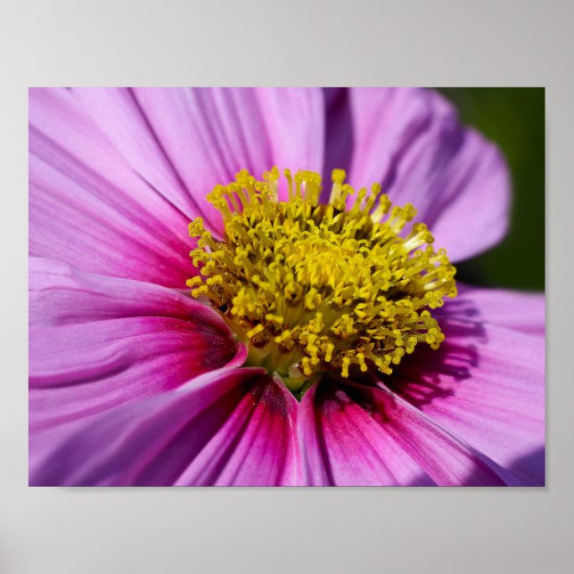 anpassningsbarna anpassar anniversarier Destiny's  Poster (Framsidan)