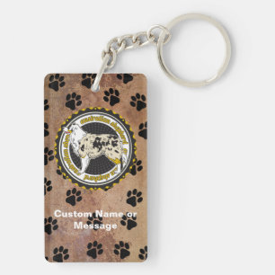 Anpassningsbarna Australian shepherd Tassar Hund a