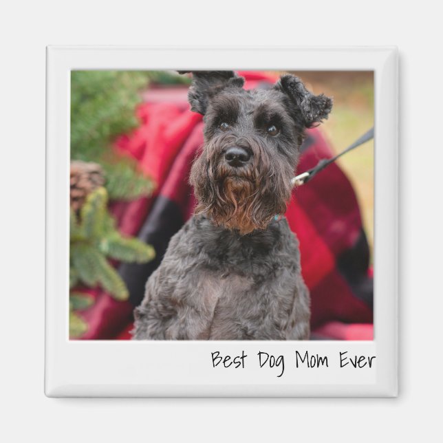 Anpassningsbarna Bästa kamerafoto i Hund någonsin  Magnet (Framsidan)