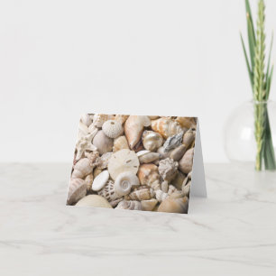 Anpassningsbarna Florida Sea Snäcka Background - B Kort