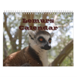 Anpassningsbarna för djurparker (Lemur Cute Natat Kalender