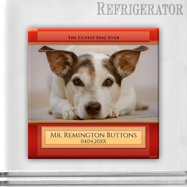 Anpassningsbarna Foto av hund- eller Cat Keepsak-m Magnet (Memorial magnet featuring your pet photo on a modern red burgundy design)