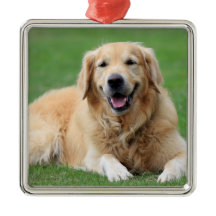 Anpassningsbarna Golden Retriever jul Ornament Met