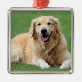 Anpassningsbarna Golden Retriever jul Ornament Met