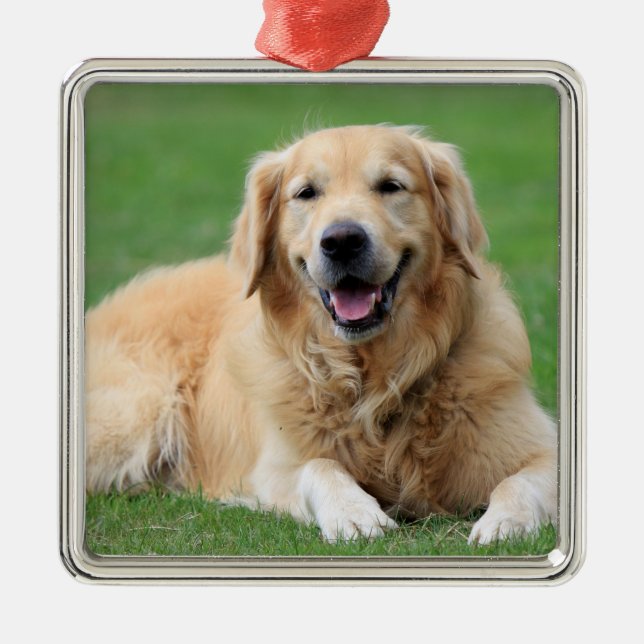 Anpassningsbarna Golden Retriever jul Ornament Met (Framsidan)