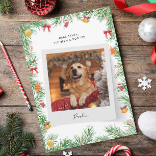 Anpassningsbarna Jul på den vackra Pet Hund Photo Julkort