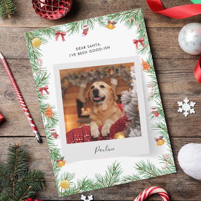 Anpassningsbarna Jul på den vackra Pet Hund Photo  Julkort (Funny Pet Dog Nice List Custom Christmas Holiday Card)