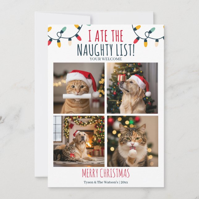 Anpassningsbarna Julfoto på den konstiga Cat Hund  Julkort (Framsida)