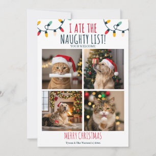 Anpassningsbarna Julfoto på den konstiga Cat Hund Julkort