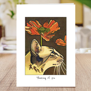 Anpassningsbarna Katt-Orange-poppies är mappad Kort