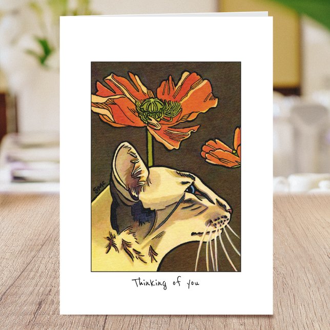 Anpassningsbarna Katt-Orange-poppies är mappad Kort (Skapare uppladdad)
