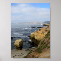 Anpassningsbarna La Jolla Beach Seabirds Poster Ar
