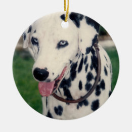 Anpassningsbarna Min sällskapsvän överför ditt ege Julgransprydnad Keramik