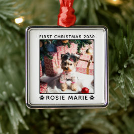 Anpassningsbarna Namn Tass avtryck i första julaft Julgransprydnad Metall