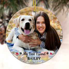 Anpassningsbarna Pet Photo My Best Friend Hund äls Julgransprydnad Keramik