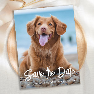 Anpassningsbarna Pet Photo Save Date i Modern Hund Meddelande Vykort