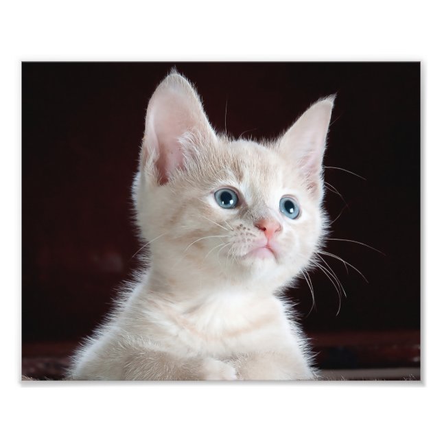 Anpassningsbarna Photo Print Fototryck (Framsidan)