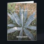 Anpassningsbarna Stora Grattis på födelsedagen Man Kort<br><div class="desc">Anpassningsbarna Big Grattis på födelsedagen Manar Watercolor Plants Card har en vacker fabrik som kan uppskattas. Byt ut informationen med din och ge mot den speciella personen i ditt liv. Fotografi av Denise Bennerson,  fotograf</div>
