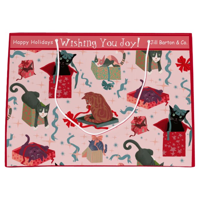 Anpassningsbarna "Stora" - Lena Katt och Julboxar (Framsidan)