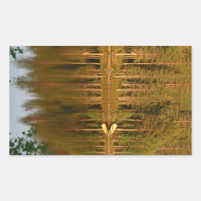 Anpassningsbarnas etiketter för naturens reflektio (Framsida)