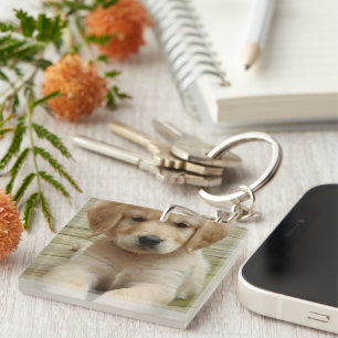 Anpassningsbarnas fotobild bild två Dubblor vid si