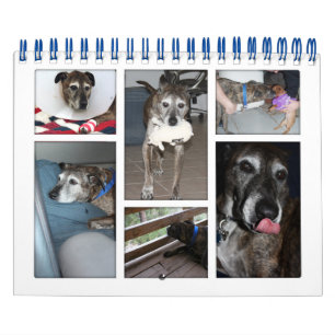 Anpassningsbarnas fotokalender kalender