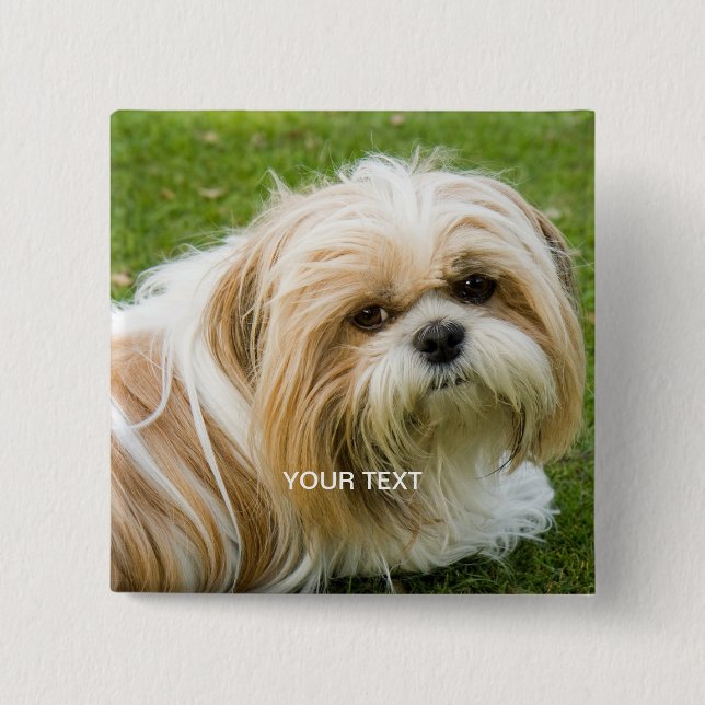 Anpassningsbarnas fotoknapp knapp (Framsida)