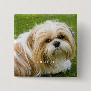 Anpassningsbarnas fotoknapp knapp