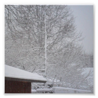 ANPASSNINGSBARNAS FOTOSKRIVARE 6 X 6 FOTOTRYCK