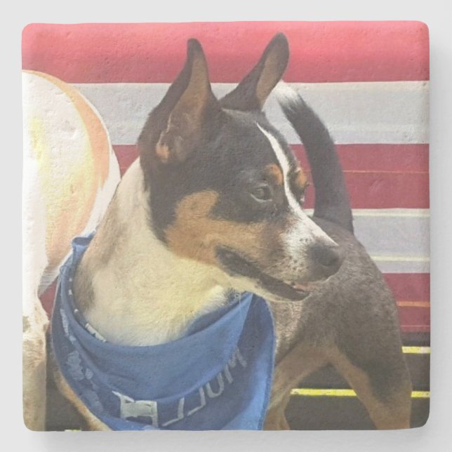 anpassningsbarnas fotosten underlägg (Framsidan)