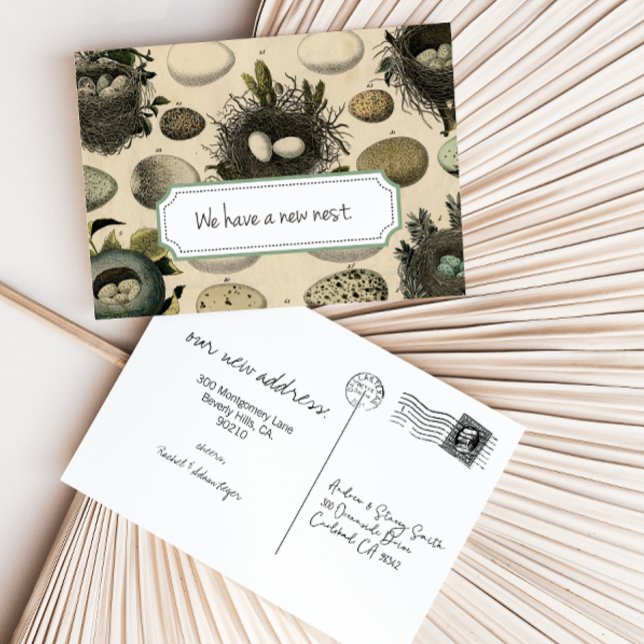 Anpassningsbart flyttningskunnande // Vintage Fåge Meddelande Vykort (Skapare uppladdad)