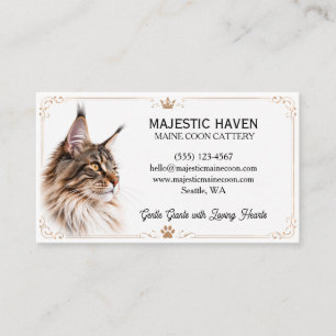 Anpassningsbart Maine Coon Katteri Affärskort Visitkort