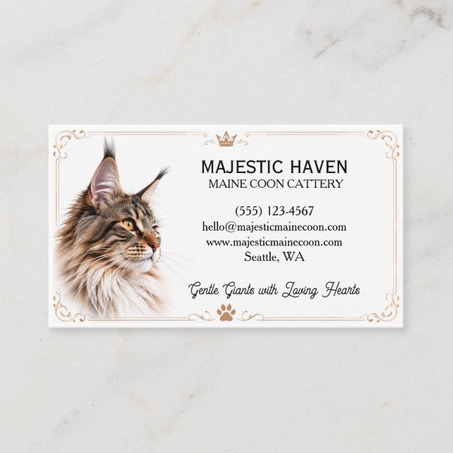 Anpassningsbart Maine Coon Katteri Affärskort  Visitkort (Framsida)
