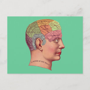 Anque Mind Brain Karta Phrenology head Vykort