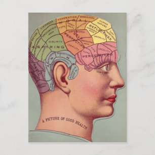 Anque Mind Brain Karta Phrenology head Vykort