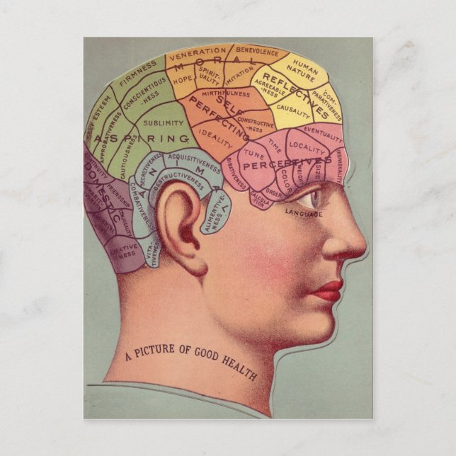 Anque Mind Brain Karta Phrenology head Vykort (Framsida)